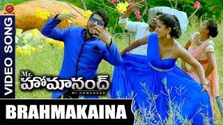 Mr Homanand Movie Full Video Songs || Brahmakaina Video Song || Pavani, Priyanka