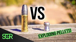  wasn’t expecting that… 22LR vs .22 Airgun with EXTRA SPICY AMMO 