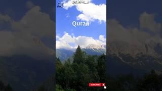 Quran Tarjama, Quran verses #wordsofallah #youtubeshorts #viral #allahhuakbar