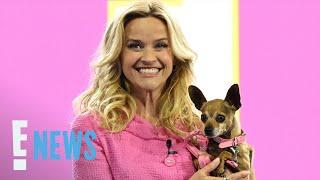 Reese Witherspoon Reveals Elle Woods is Returning in ‘Legally Blonde’ Prequel | E! News