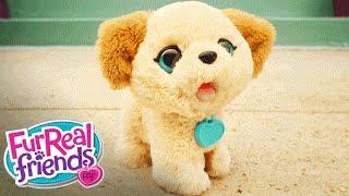 FurReal Friends Toys – Pax, My Poopin’ Pup ‘Cute Poop to the Max!’ Official T.V. Spot – Hasbro
