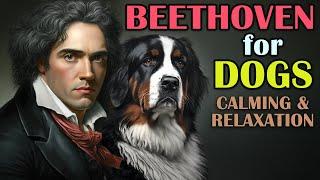 Classical Music for Dogs - Separation Anxiety Music for Dogs, Beethoven for Dogs, Dogs Music Therapy