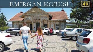 istanbul Emirgan Grove | istanbul 4k UHD