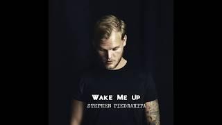 Homenaje a Avicii - Wake Me Up - Stephen Piedrahita (Cover en español)