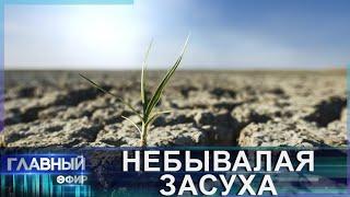 Откуда взялась в Беларуси такая небывалая засуха? И станет ли она закономерной? Главный эфир