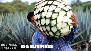 Mezcal Is The Fastest-Growing Liquor In The US. Why Aren't Mexican Producers Cashing In?