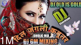 Dil Jungle Kabootar Dj Love Song ! दिल जंगली कबूतर