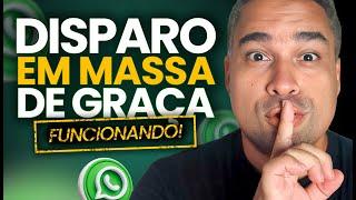 DISPARO EM MASSA NO WHATSAPP DE GRAÇA 2024 [Para iniciantes]