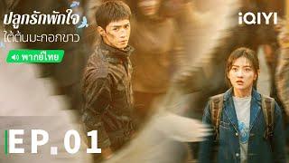 EP1 FULL | ปลูกรักพักใจ ใต้ต้นมะกอกขาว (The White Olive Tree) | iQIYI Thailand