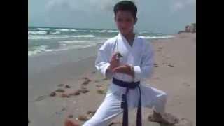The Karate Kid  Alejandro Cepero National Champ by Tom Leeman