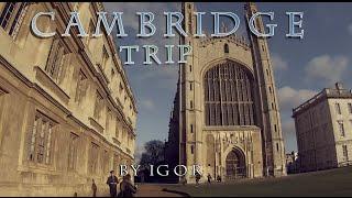 Cambridge Travel - Igor