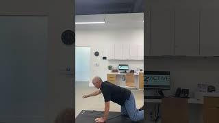 Chiropractor Meridian, ID Demonstrates the BirdDog exercise for core activation and stability.