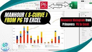 Create Detailed Manhour S-Curve from Primavera P6 to Excel | Manpower Stacked Histogram from P6