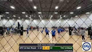 TAV 14 Black vs. APV 14 Nat. Royal (2025.03.01)