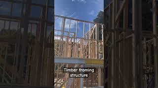 Timber framing structure - studs, top & bottom plate, noggings and metal strap bracing are visible.