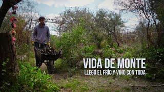 VIDA EN EL CAMPO 🪓 Huerta, frío, leña y cambios en nuestra vida simple en el monte 