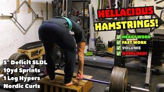 The HELLACIOUS HAMSTRINGS Vlog || Heavy Hamstrings, Fast Hamstrings, Volume, & Overload!