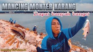 mancing pingiran dapat ikan moster karang