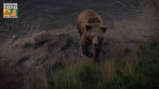 Skandinavisk Dyrepark. Helt naturligt - naturligvis!