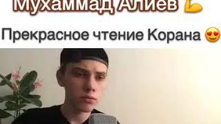 Ингушский Хафиз Мухаммад Алиев (Vaynah Video)