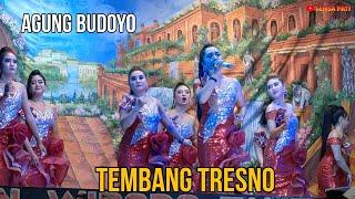 TEMBANG TRISNO TAMANSARI KETOPRAK (AGUNG BUDOYO) live TEGALWERO PUCAKWANGI