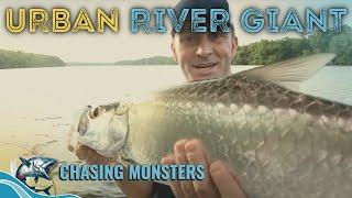 Mangrove Mystery: What's Next? - Chasing Monsters - Fishing Show