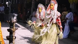 KOLA | KAMBALA | SPECTACLE OF TULU NADU | CULTURAL SHOWCASE DOCUMENTARY