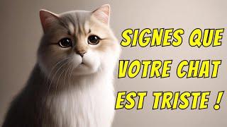 DÉCOUVREZ LES 10 SIGNES QUE VOTRE CHAT EST TRISTE ! La vérité est...