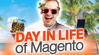Day in Life of Magento Developer