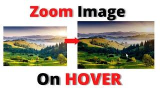 Zoom In Image on Hover | Image ZoomIn Effect | HTML & CSS