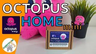 NEW Octopus Home Mini: Your Usage In Real Time, Anywhere