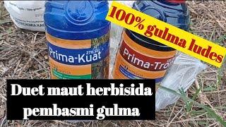 Herbisida ampuh untuk semua jenis gulma | 100% Rumput KO