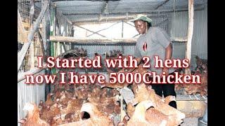 I STARTED WITH 2 HENS NOW I HAVE 5000 CHICKEN