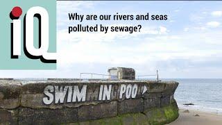 Why are our seas and rivers polluted by sewage?