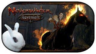 NEVERWINTER: Ravenloft  02 - Graf Strahd von Zarovich, das große Übel