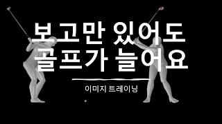 [EASY GOLF] GOLF SWING/보고만 있어도 골프가 늘어요/이미지 트레이닝