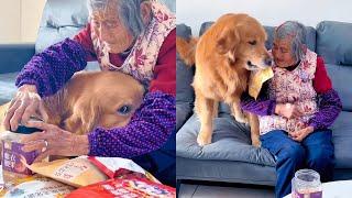 Mao Mao wished he could give all his snacks to grandma!️#聪明旺豆豆