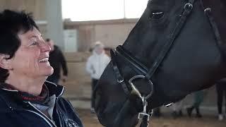 Trakehner Jungzüchter Lehrgang in Bayern