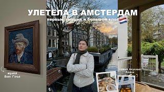 улетела в Амстердам | музей Ван Гога и первые эмоции 