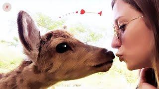 Japan Travel Vlog: Osaka to Nara - Deer Encounters Unleashed! 