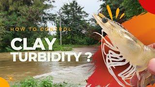 How To Control Clay Turbidity ? (Telugu)