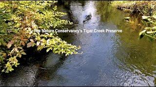 Tiger Creek Preserve Documentary