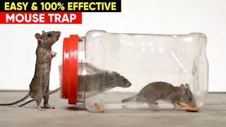 Best & Easy Mouse Trap - DIY Mouse Trap - Rat Trap Homemade