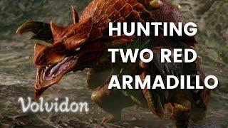 HUNTING TWO ARMADILLO WITH TWO KNIFE