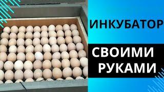 Инкубатор из пеноплекса своими руками на 80 яиц