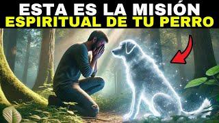 ¡Misión Espiritual De Los Perros! POR ESTO LLEGÓ A TU VIDA 