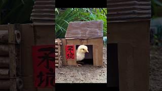 Chiki sosurbari plan landing korlo#youtube #funny #facts