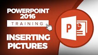 How to Insert Pictures in Microsoft PowerPoint 2016