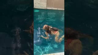 Lazy or smart? Otters lean on mother during pool swim. #shorts