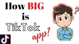 How big is the TikTok app? | TechyTacos